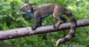 Tìm thấy dấu vết của động vật có vú trên hóa thạch của loài khủng long Mamenchisaurus