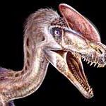 Tìm thấy họ hàng lâu đời nhất của T.rex