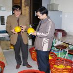 Bảo quản rau quả tươi như mới hái
