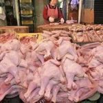 Dòng virus cúm gia cầm ở Hàn Quốc khác dòng ở Đông Nam Á