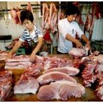 Sản xuất thịt nhân tạo từ… tế bào gốc