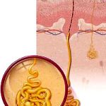 Những điều thú vị về mồ hôi