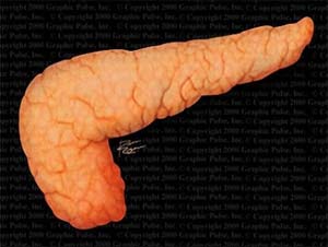 Điều trị thử nghiệm thành công bệnh tiểu đường