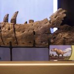Xuất hiện “vua quái vật” dài 12m, nguy hiểm hơn T-rex ở Mỹ