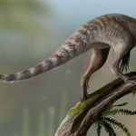 Brazil: Lộ diện sinh vật lạ đuôi khủng long, tay khỉ, đầu chim ăn thịt