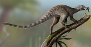 Brazil: Lộ diện sinh vật lạ đuôi khủng long, tay khỉ, đầu chim ăn thịt