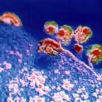 Thuốc thử định lượng HIV