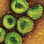Phát hiện 4 bệnh nhân nhiễm virus gây ra bệnh SARS