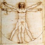 Khám phá bác bỏ “Người Vitruvius” của Da Vinci là hoàn hảo