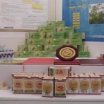 Kết quả nghiên cứu ứng dụng công nghệ sinh học