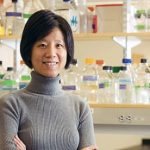 Gene NPAS4 điều chỉnh khả năng của bộ não để hình thành những ký ức mới
