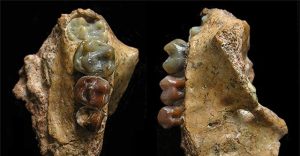 Phát hiện hộp sọ “trực nhân” hoàn chỉnh nhất ở lục địa Á-Âu