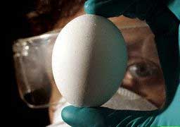 Thử nghiệm vắc-xin H5N1 tại Australia