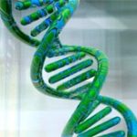 Virus khiến con người thông minh hơn?