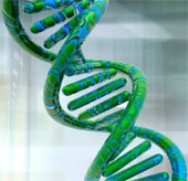 Virus khiến con người thông minh hơn?
