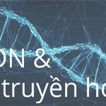 ADN và gene trong di truyền học