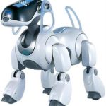 Thêm 5 robot danh giá nhất hành tinh