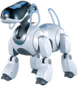 Thêm 5 robot danh giá nhất hành tinh