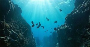 Tiếng động lạ dưới biển Thái Bình Dương khiến các nhà khoa học nhiều năm bối rối