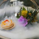Ẩm thực phân tử là gì?