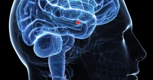 Có những người luôn luôn tìm cách nói dối, tại sao vậy?