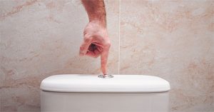 Hành động bạn nhất định phải làm trước khi giật nước bồn cầu