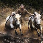 Ảnh đẹp nhất của National Geographic năm 2010