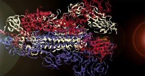 Đây là “âm thanh” của virus corona