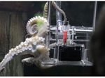 Đào tạo bạch tuộc thành nhiếp ảnh gia đầu tiên trên thế giới