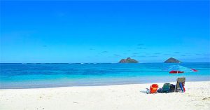 Bãi cát trắng tuyệt đẹp ở Hawaii thực chất chỉ là… phân cá?