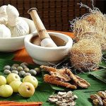 Bài thuốc Đông y hỗ trợ phòng trị sốt xuất huyết
