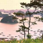 Quản lý, bảo vệ vườn Quốc gia Bái Tử Long