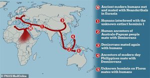 Phát hiện “con đường tình yêu” nơi 5 loài người giao phối dị chủng