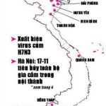 Dịch cúm gia cầm phát triển nhanh trên diện rộng