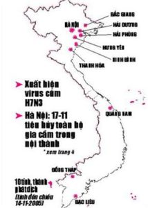 Dịch cúm gia cầm phát triển nhanh trên diện rộng