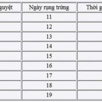 Dấu hiệu rụng trứng và cách tính ngày rụng trứng chính xác