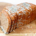 Nếu bánh mỳ bị mốc một nửa, bạn có thể ăn phần bánh còn lại chưa bị mốc không?