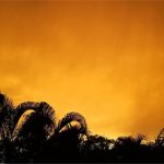 Điều gì gây ra cơn bão cát bụi khổng lồ “Godzilla”?