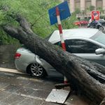 Hà Nội: Bão số 7 gây mưa lớn cả ngày, nhiều cây xanh bật gốc, đè bẹp “xế hộp” Camry