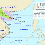 Bão Mirinae – Cơn bão số 1 hướng vào Hải Phòng