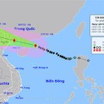 Thông tin mới nhất về cơn bão Talim và áp thấp nhiệt đới trên biển Đông
