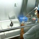 Nuôi cấy thành công bước đầu giác mạc từ tế bào gốc