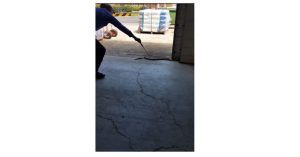 Rắn độc bị bắt vẫn ngóc đầu tấn công người