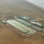 Bể nước biển 12.000m2 nuôi tảo giữa sa mạc Sahara