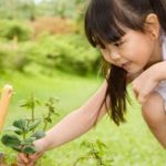 Những cách đơn giản dạy bé về khoa học