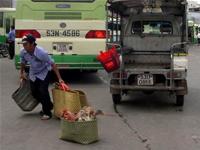 Buôn gia cầm: vượt trạm quá dễ