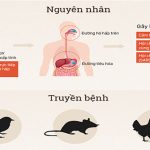 Bệnh viêm phổi lạ Trung Quốc nguy hiểm thế nào?