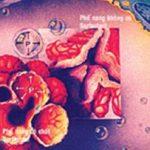 Bệnh màng trong ở trẻ sơ sinh