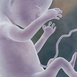Kỹ thuật mới tăng gấp đôi cơ hội có con bằng thụ tinh ống nghiệm
