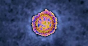 Biến chủng B1525 của virus corona nguy hiểm đến mức nào?